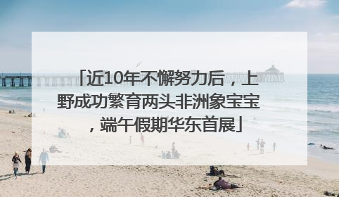 近10年不懈努力后，上野成功繁育两头非洲象宝宝，端午假期华东首展
