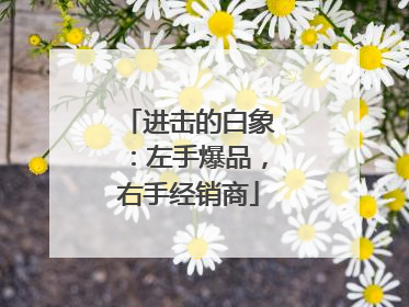 进击的白象：左手爆品，右手经销商