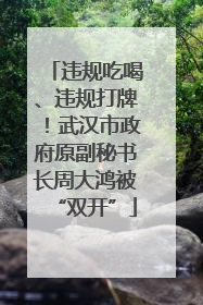 违规吃喝、违规打牌！武汉市政府原副秘书长周大鸿被“双开”