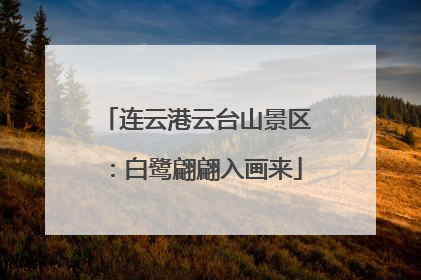 连云港云台山景区：白鹭翩翩入画来