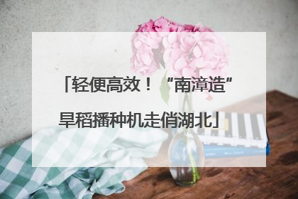 轻便高效！“南漳造”旱稻播种机走俏湖北