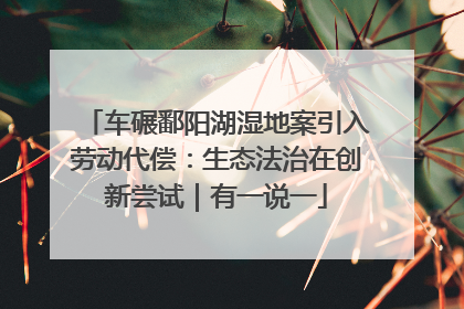 车碾鄱阳湖湿地案引入劳动代偿：生态法治在创新尝试｜有一说一