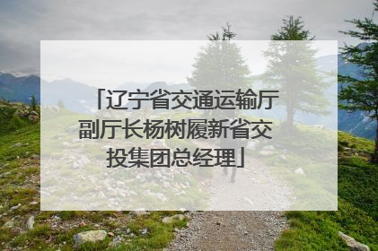 辽宁省交通运输厅副厅长杨树履新省交投集团总经理