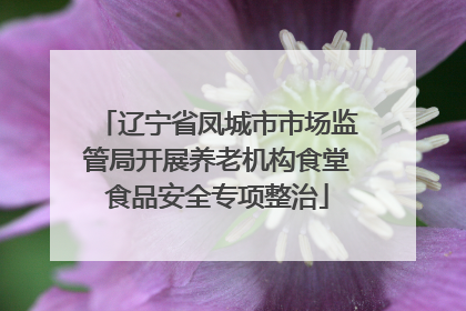 辽宁省凤城市市场监管局开展养老机构食堂食品安全专项整治