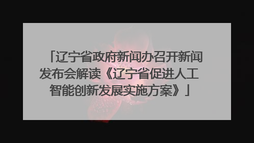 辽宁省政府新闻办召开新闻发布会解读《辽宁省促进人工智能创新发展实施方案》
