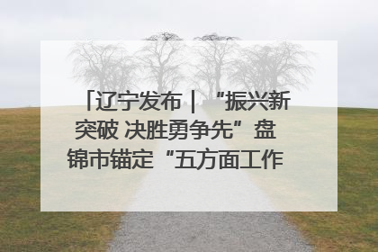 辽宁发布｜“振兴新突破 决胜勇争先”盘锦市锚定“五方面工作”力争全年地区生产总值增长5.5%左右