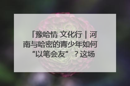 豫哈情 文化行｜河南与哈密的青少年如何 “以笔会友”？这场书画展藏着答案