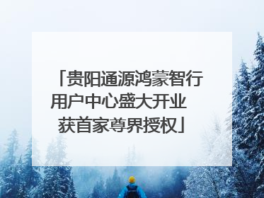 贵阳通源鸿蒙智行用户中心盛大开业 获首家尊界授权