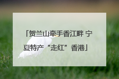 贺兰山牵手香江畔 宁夏特产“走红”香港