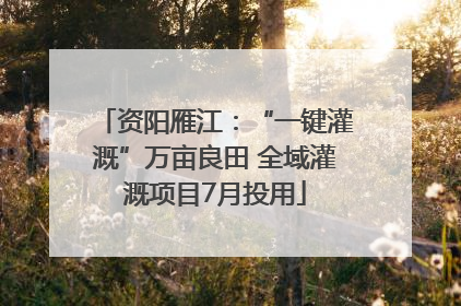 资阳雁江：“一键灌溉”万亩良田 全域灌溉项目7月投用