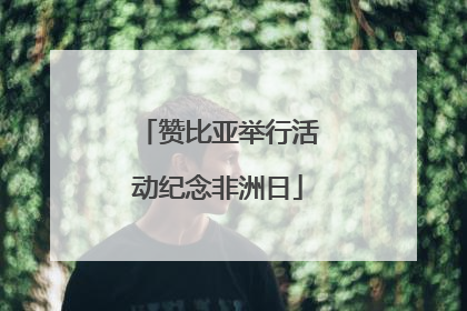 赞比亚举行活动纪念非洲日