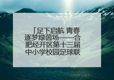 足下启航 青春逐梦绿茵场——合肥经开区第十三届中小学校园足球联赛圆满收官