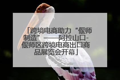 跨境电商助力“偃师制造”——阿拉山口-偃师区跨境电商出口商品展览会开幕