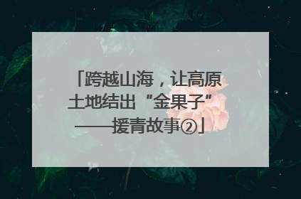 跨越山海，让高原土地结出“金果子”——援青故事②
