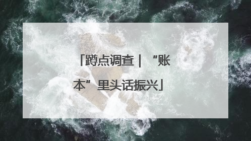 蹲点调查｜“账本”里头话振兴