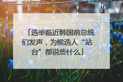 选举临近韩国前总统们发声，为候选人“站台”都说些什么