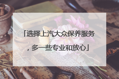 选择上汽大众保养服务，多一些专业和放心