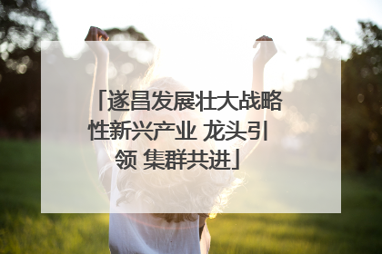 遂昌发展壮大战略性新兴产业 龙头引领 集群共进