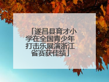 遂昌县育才小学在全国青少年打击乐展演浙江省赛获佳绩
