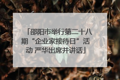 邵阳市举行第二十八期“企业家接待日”活动 严华出席并讲话