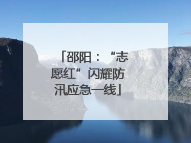 邵阳：“志愿红”闪耀防汛应急一线