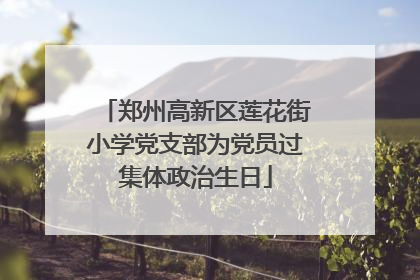 郑州高新区莲花街小学党支部为党员过集体政治生日