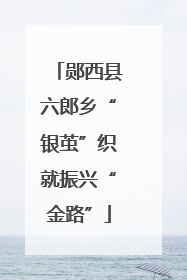 郧西县六郎乡“银茧”织就振兴“金路”
