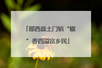 郧西县土门镇“椒”香四溢富乡民