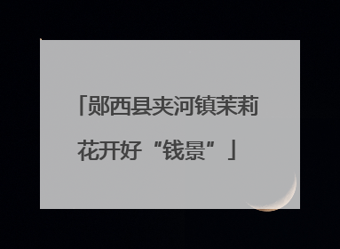 郧西县夹河镇茉莉花开好“钱景”