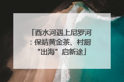 酉水河遇上尼罗河：保靖黄金茶、村厨“出海”启新途