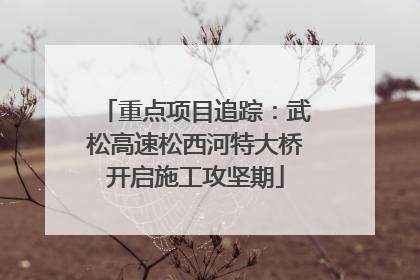 重点项目追踪：武松高速松西河特大桥开启施工攻坚期