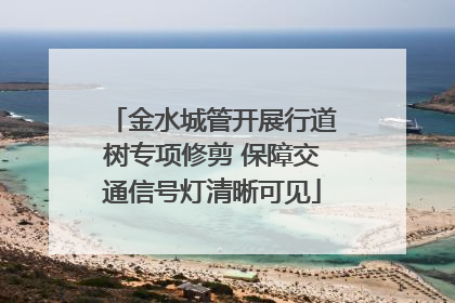 金水城管开展行道树专项修剪 保障交通信号灯清晰可见