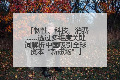 韧性、科技、消费……透过多维度关键词解析中国吸引全球资本“新磁场”