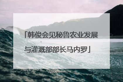 韩俊会见秘鲁农业发展与灌溉部部长马内罗