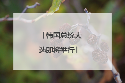 韩国总统大选即将举行