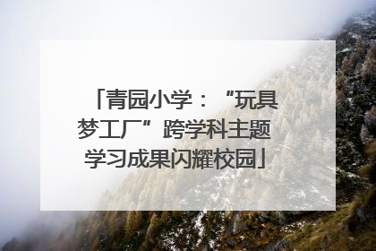 青园小学：“玩具梦工厂”跨学科主题学习成果闪耀校园