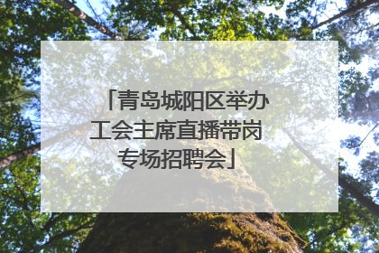 青岛城阳区举办工会主席直播带岗专场招聘会