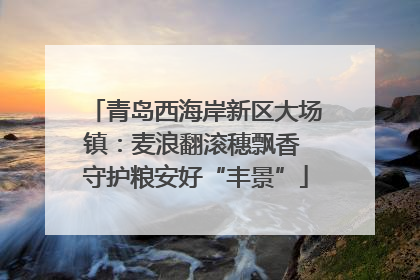 青岛西海岸新区大场镇：麦浪翻滚穗飘香 守护粮安好“丰景”