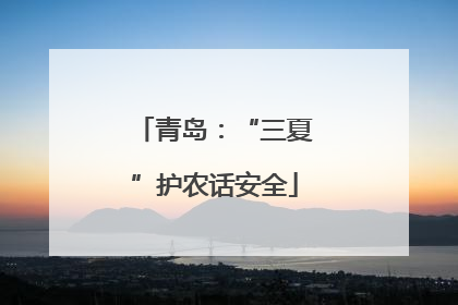 青岛：“三夏”护农话安全