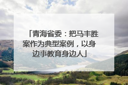 青海省委：把马丰胜案作为典型案例，以身边事教育身边人