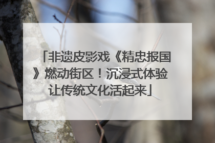 非遗皮影戏《精忠报国》燃动街区！沉浸式体验让传统文化活起来