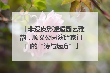 非遗皮影邂逅园艺雅韵，顺义公园演绎家门口的“诗与远方”