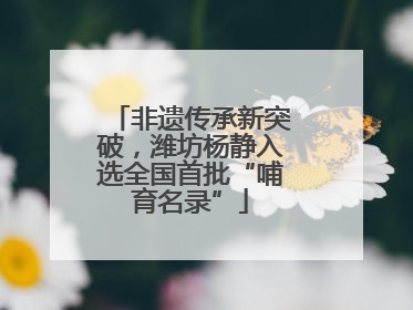 非遗传承新突破，潍坊杨静入选全国首批“哺育名录”