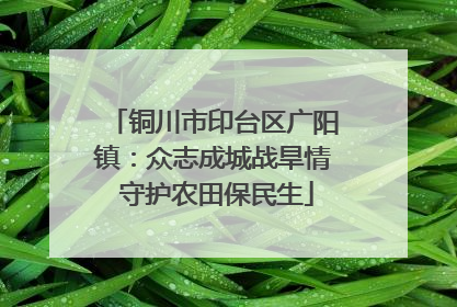 铜川市印台区广阳镇：众志成城战旱情 守护农田保民生