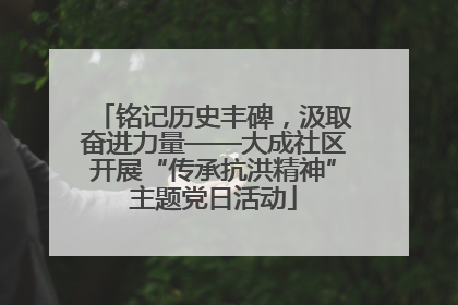 铭记历史丰碑，汲取奋进力量——大成社区开展“传承抗洪精神”主题党日活动