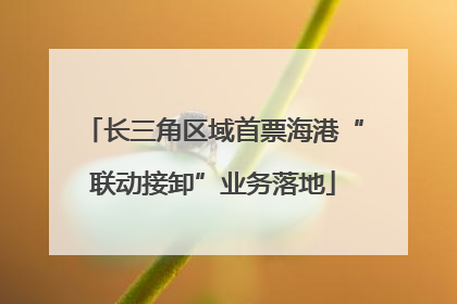 长三角区域首票海港“联动接卸”业务落地