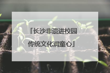 长沙非遗进校园 传统文化润童心