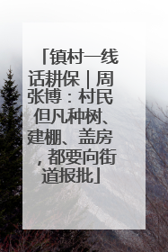 镇村一线话耕保｜周张博：村民但凡种树、建棚、盖房，都要向街道报批