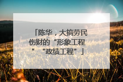 陈华，大搞劳民伤财的“形象工程”“政绩工程”