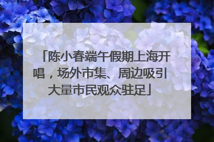 陈小春端午假期上海开唱，场外市集、周边吸引大量市民观众驻足